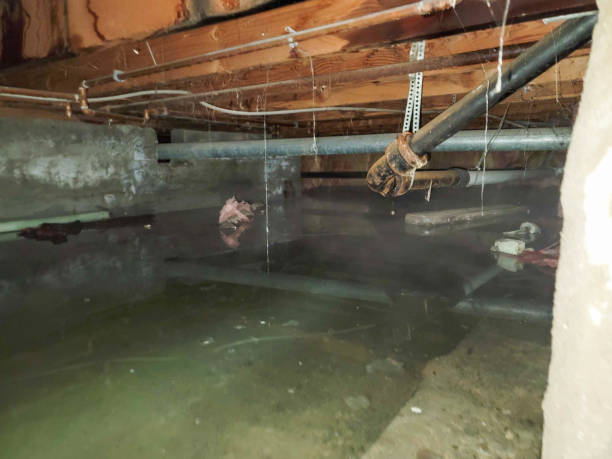 Best Professional water damage repair  in Monticello, NY