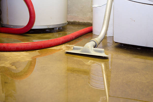 Trusted NY Water damage restoration Experts