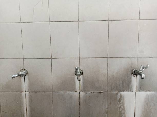 Best Mold removal after water damage  in Monticello, NY