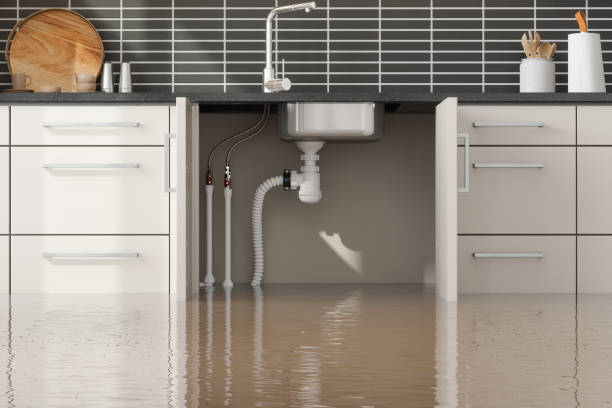 Best Flooded house restoration  in Monticello, NY
