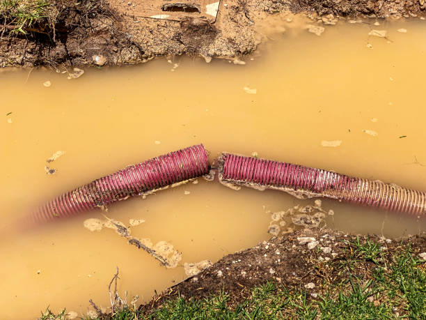 Local water damage restoration in NY